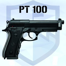 PT 100